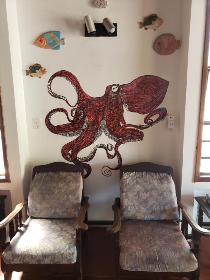Hostel Brazil Backpackers Caragua Caraguatatuba Dış mekan fotoğraf