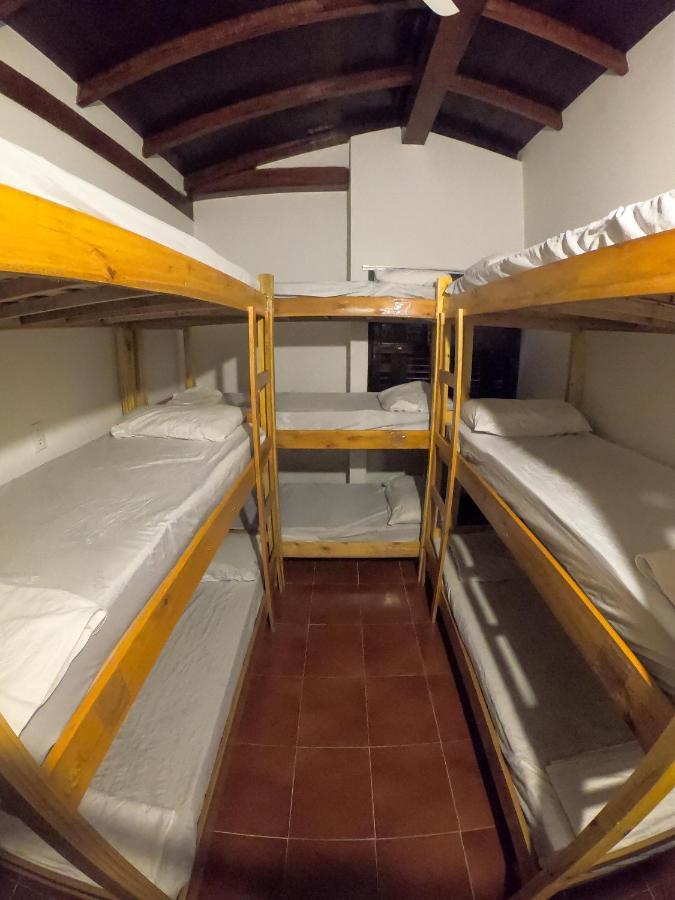 Hostel Brazil Backpackers Caragua Caraguatatuba Dış mekan fotoğraf